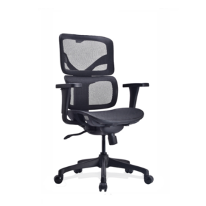 D-12M Midback Mesh Chair