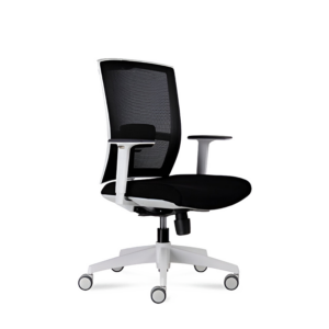 D-227M Midback Mesh Chair