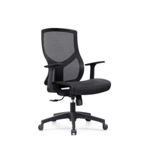 D-HayletM Midback Mesh Chair