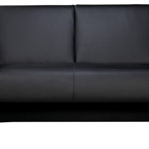FS-Series12 Double-seater Sofa