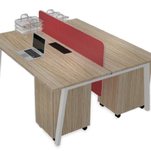 Rectangular Workstations (2 pax Back-to-Back)