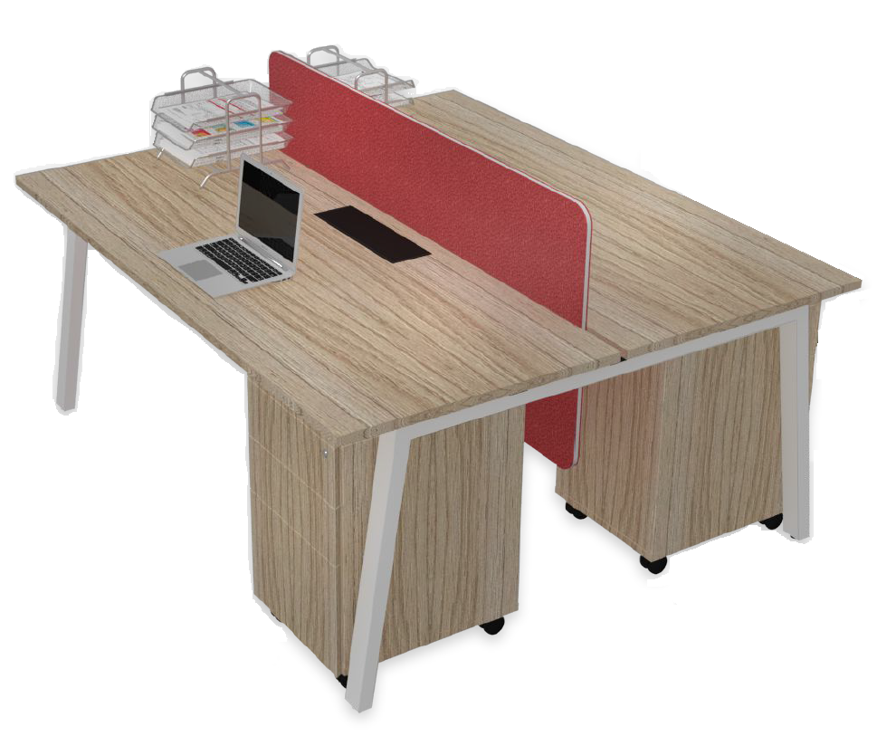 Rectangular Workstations (2 pax Back-to-Back)