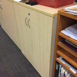 Swing Door Cabinet