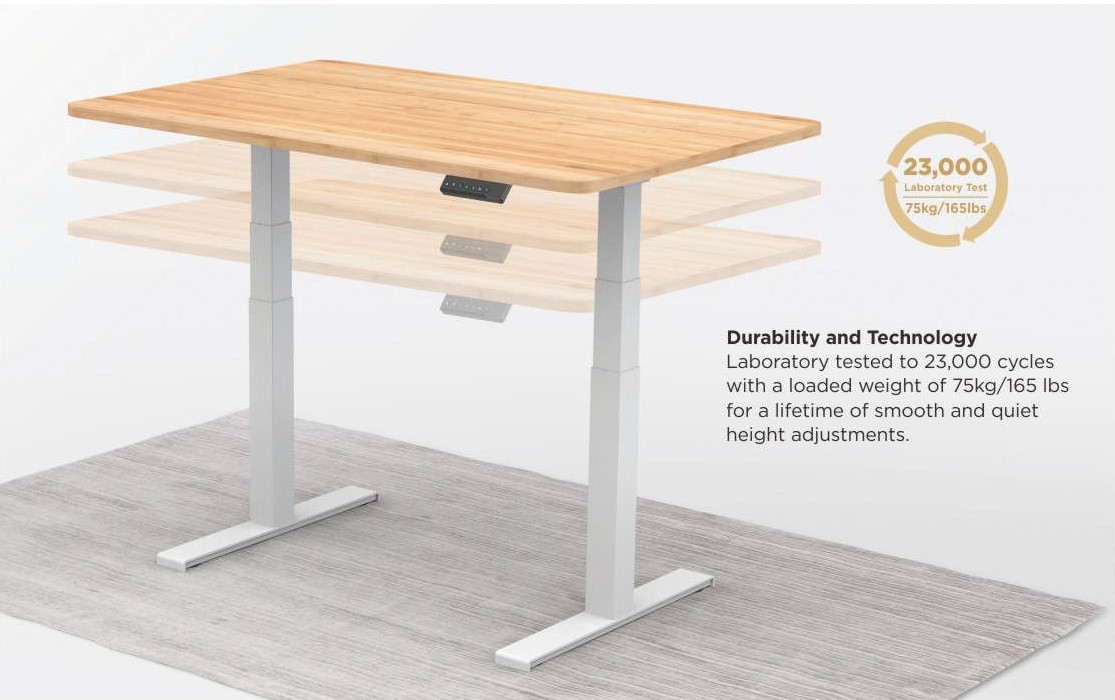 Height Adjutable Table (Single Rectangular)